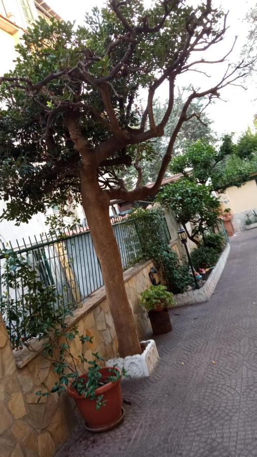Casa Diana Apartment Roma Exterior foto